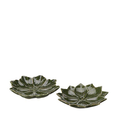 Green Lily Dish Assortment