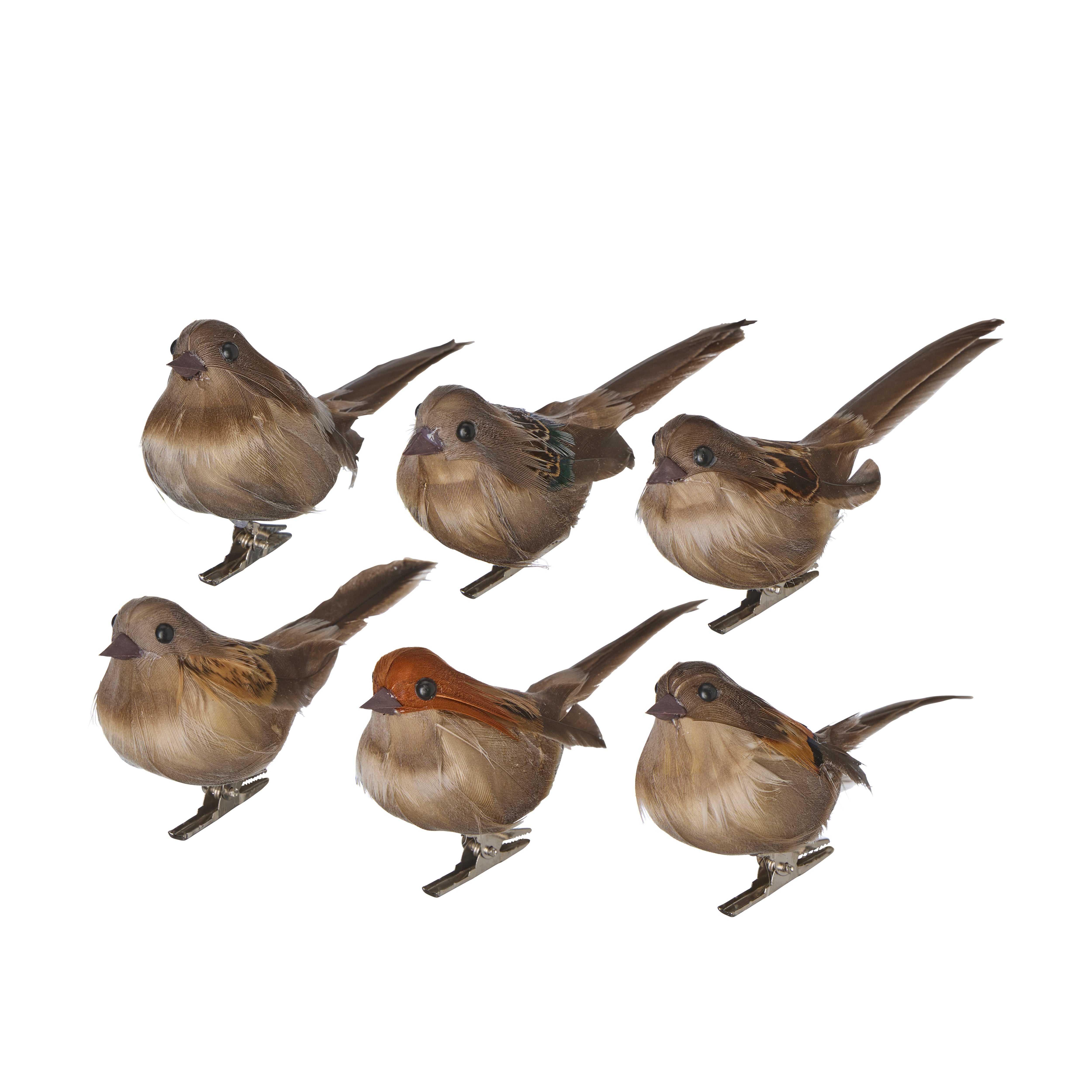Set of 6 Natural Birds