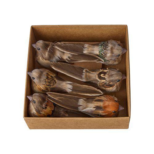 Set of 6 Natural Birds