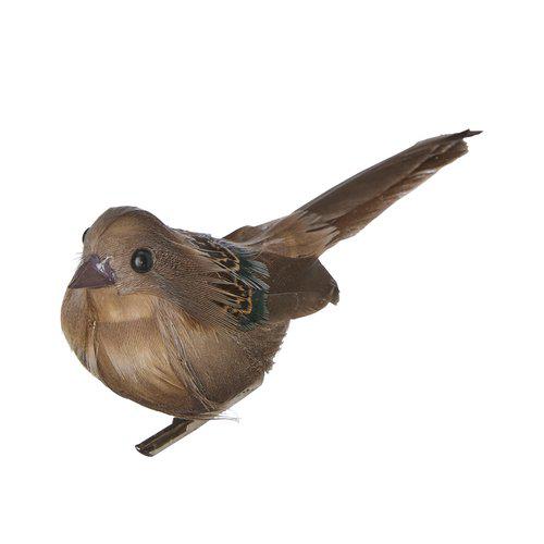 Set of 6 Natural Birds