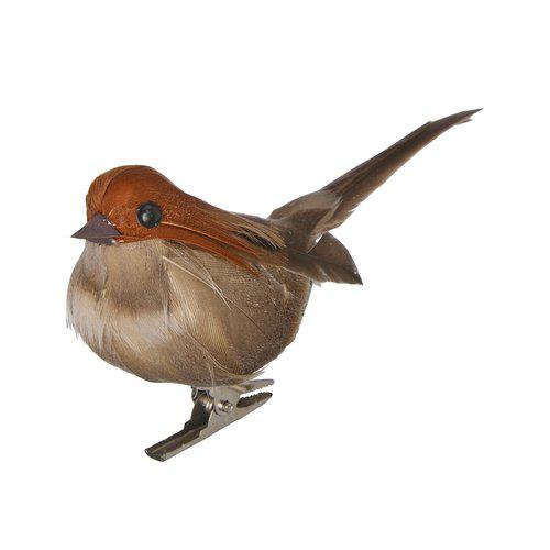 Set of 6 Natural Birds