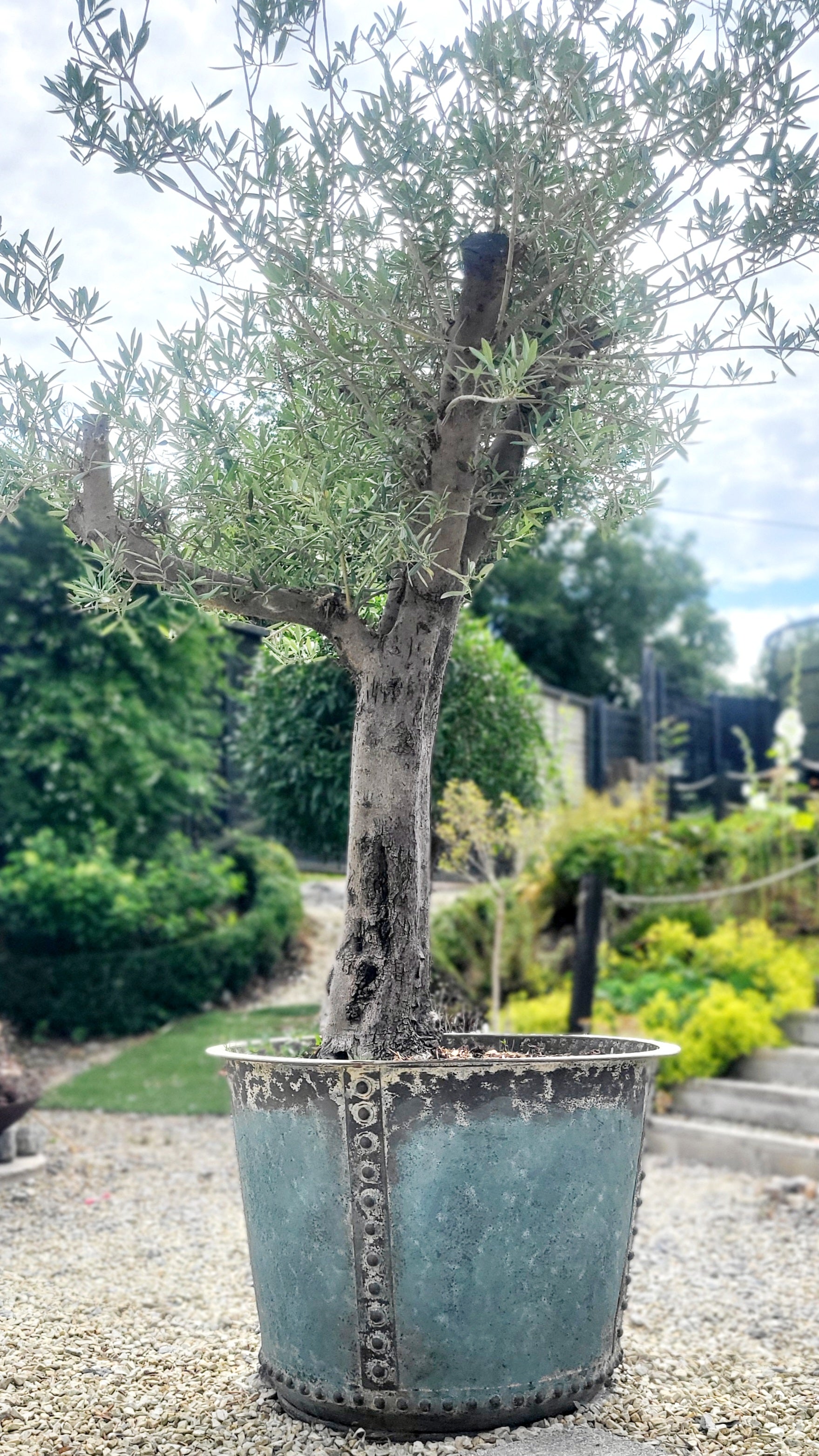 Xl Verdigris Iron Tub