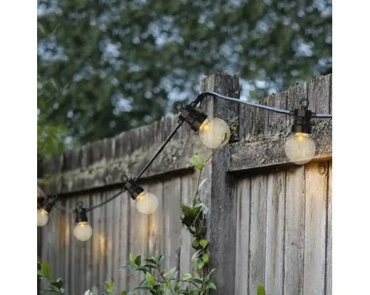 Festoon Lights