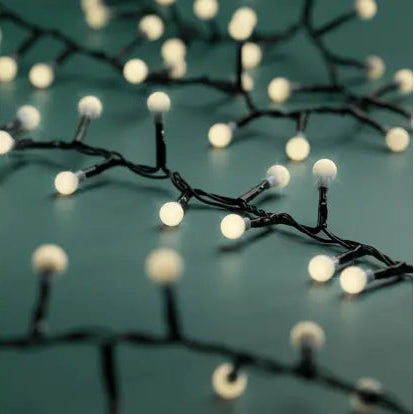 Cherry Lights