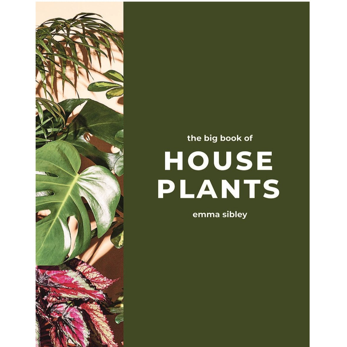 Big book of house Plants