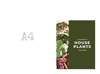 Big book of house Plants
