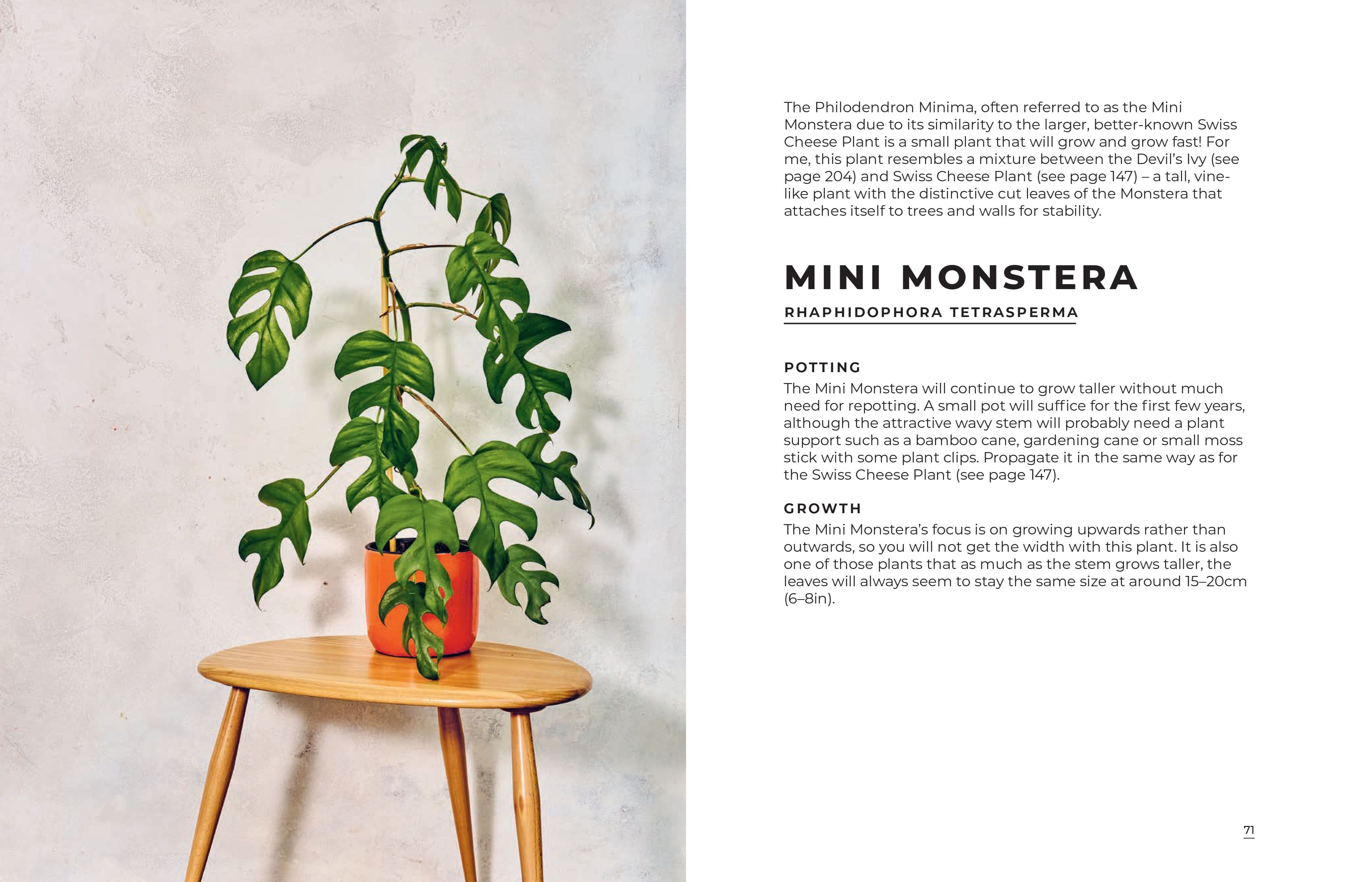 Big book of house Plants