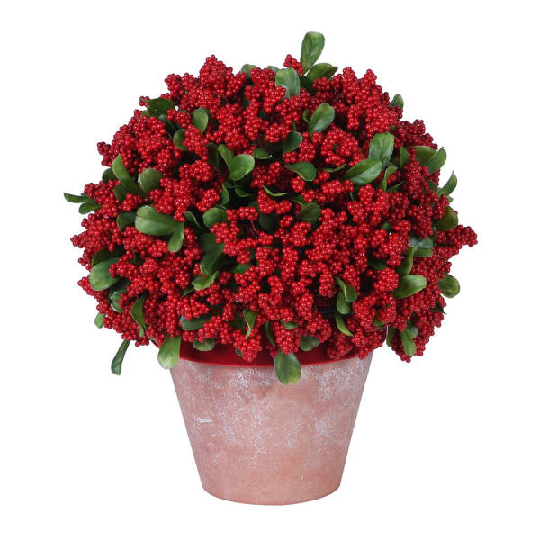 Potted plant with red berries and green leaves on a white background