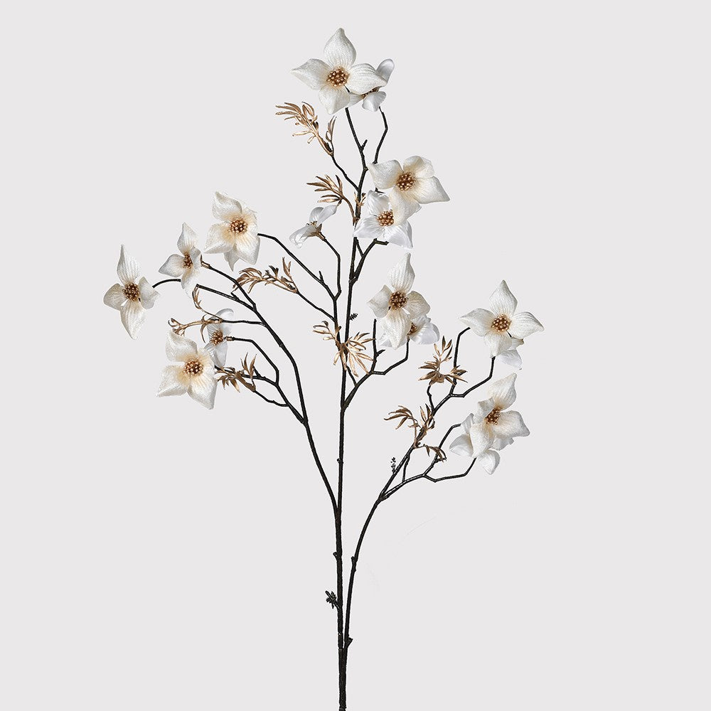 Latte Dogwood Spray