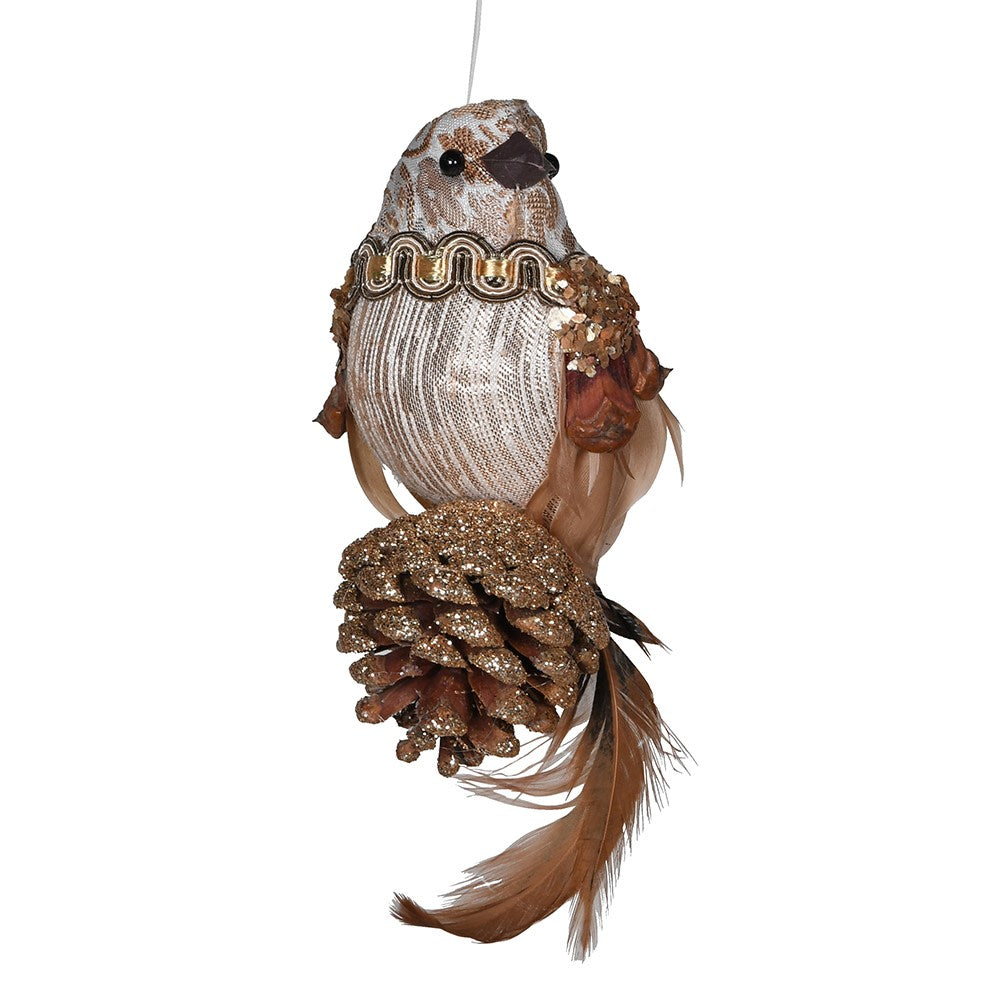 Regal Bird on Acorn
