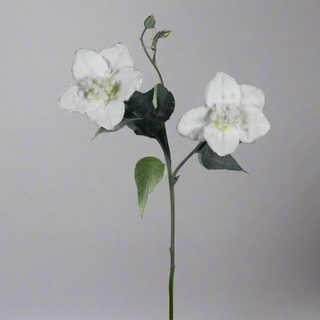 Hellebores spray w/snow