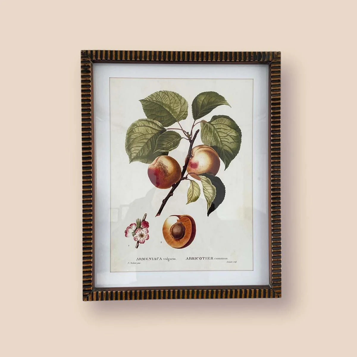Peach Wall Art