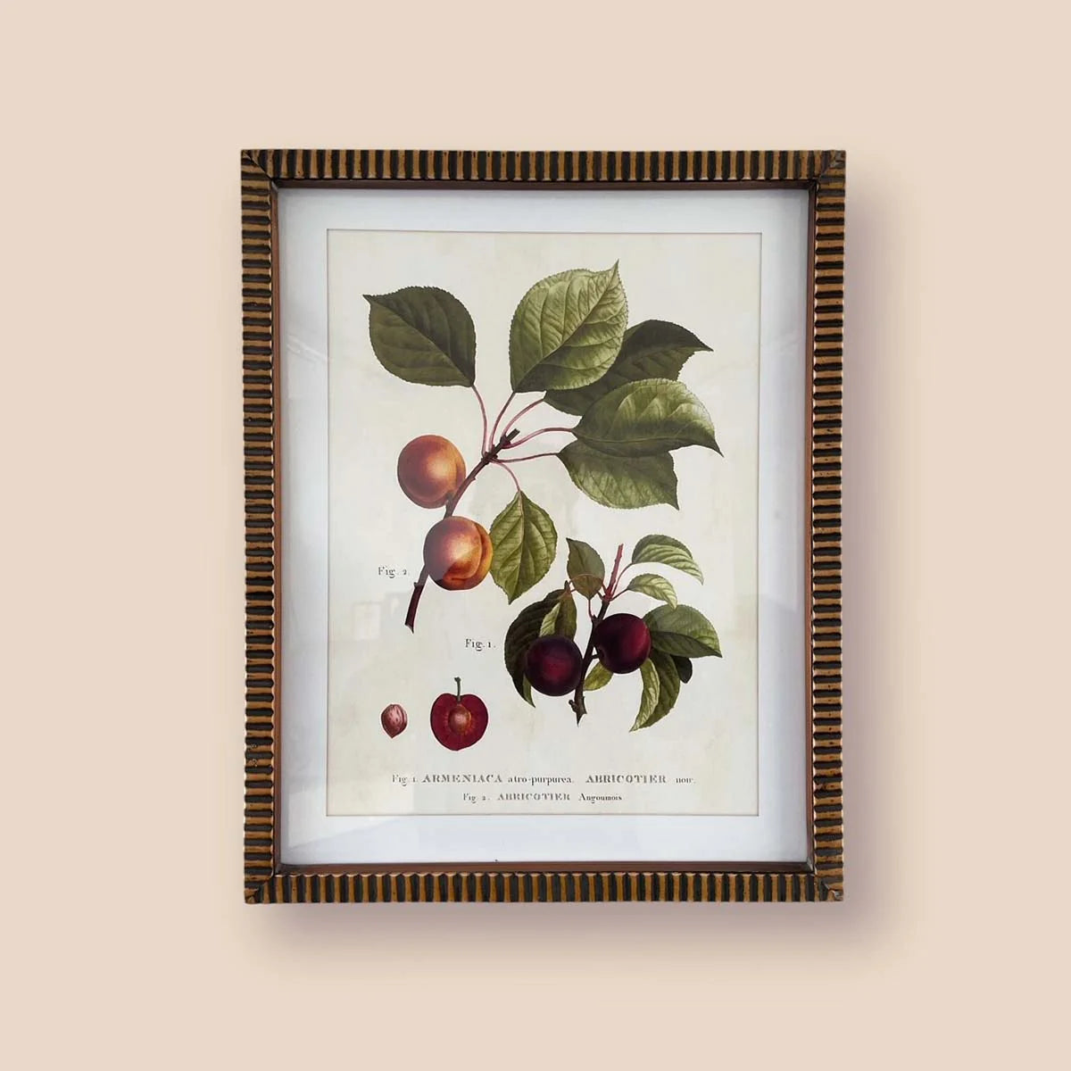 Plum Wall Art