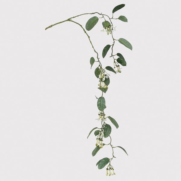 Hanging Jasmine Spray