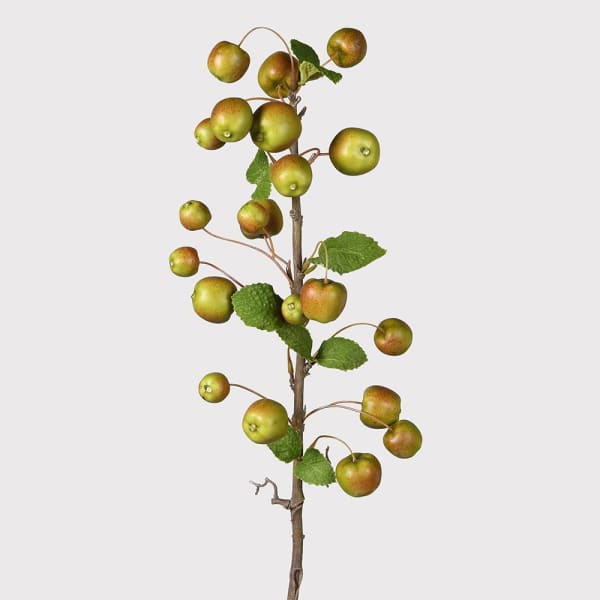 Crab apple spray with leaves