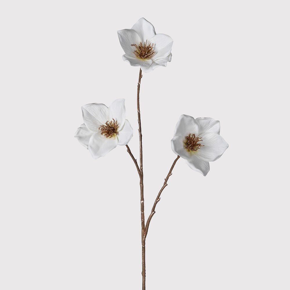 Christmas Rose Spray