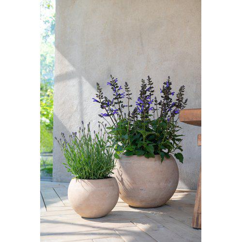 Kate Pot Large
