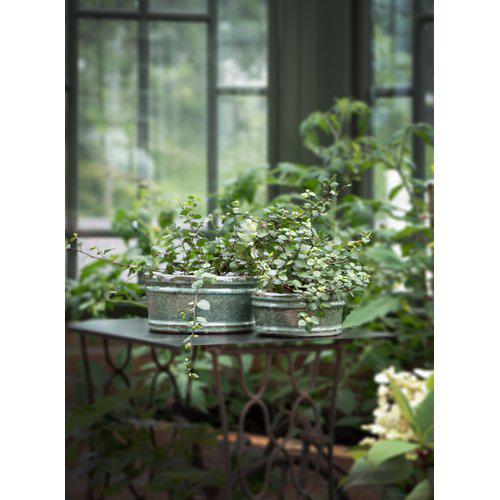 Ella planter Small