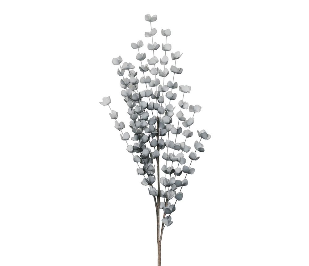 Brushwood Eucalyptus fleur