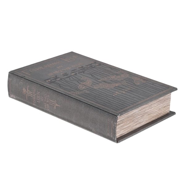 Lucky Fishman Book Box