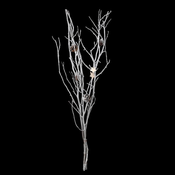 Bundle Snowy Twig Branch