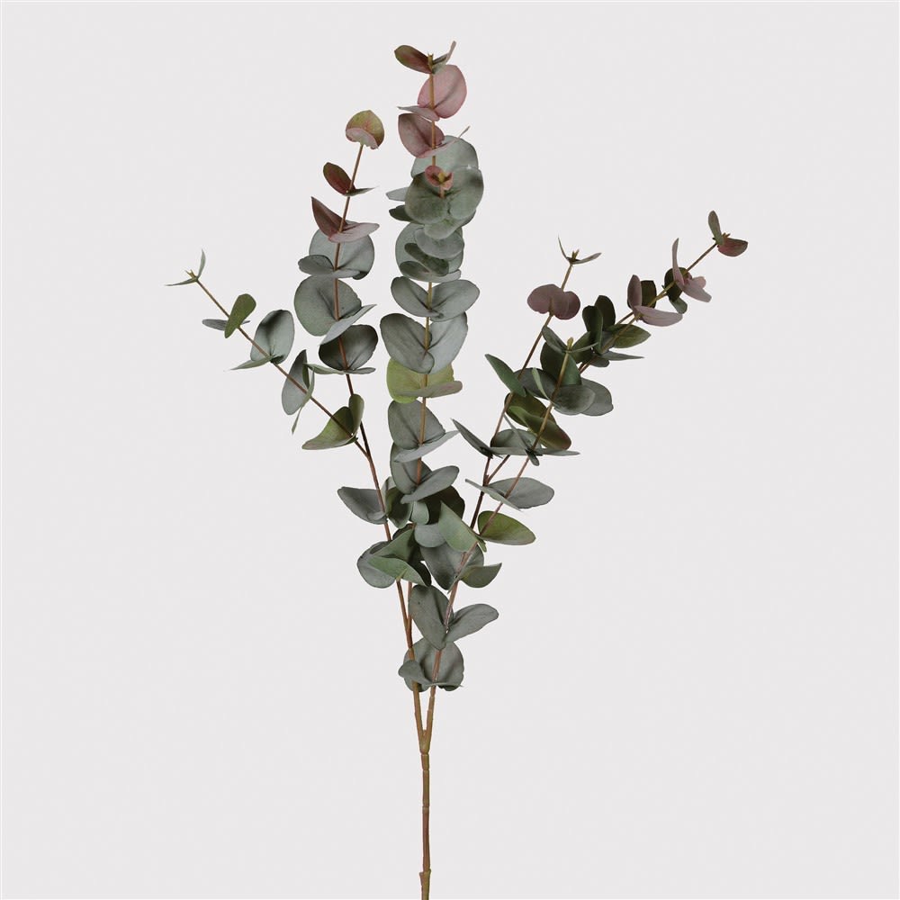 Large Blush Eucalyptus