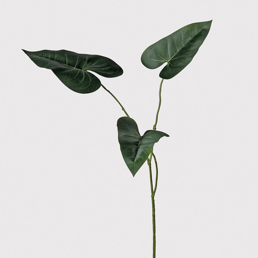 Green Philodendron spray