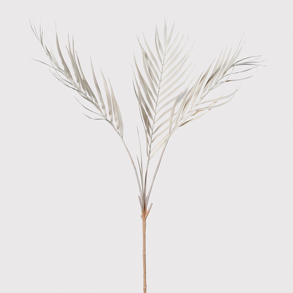 White Palm Spray