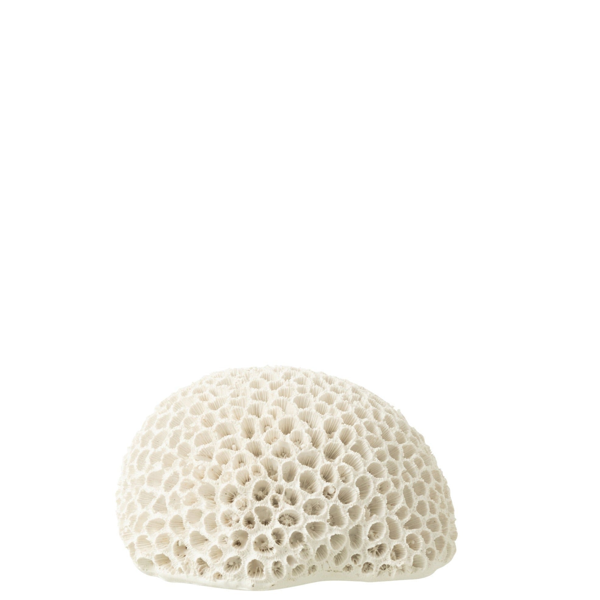 Decorative Round White Coral