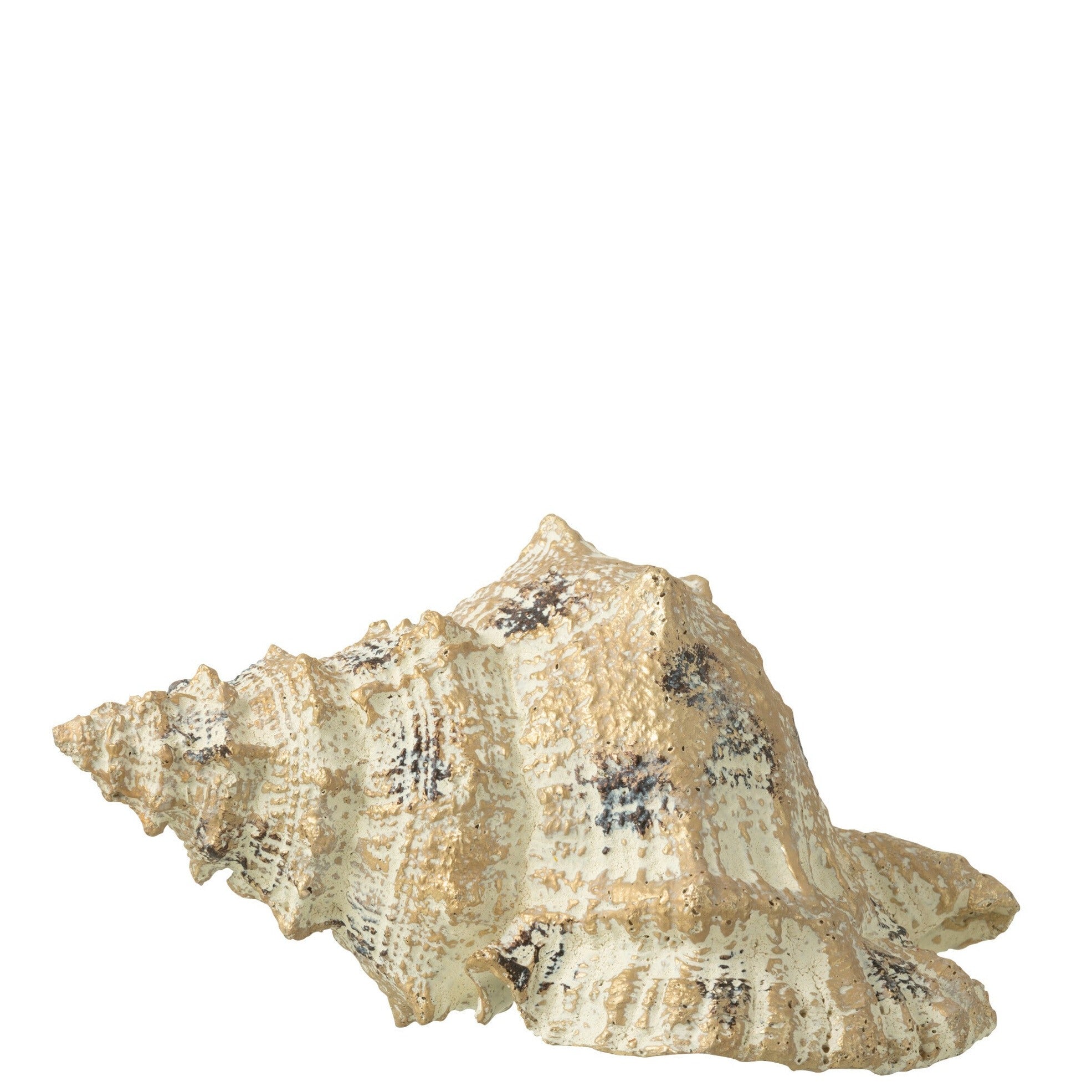 Large Brown/Gold Decorative Seashell