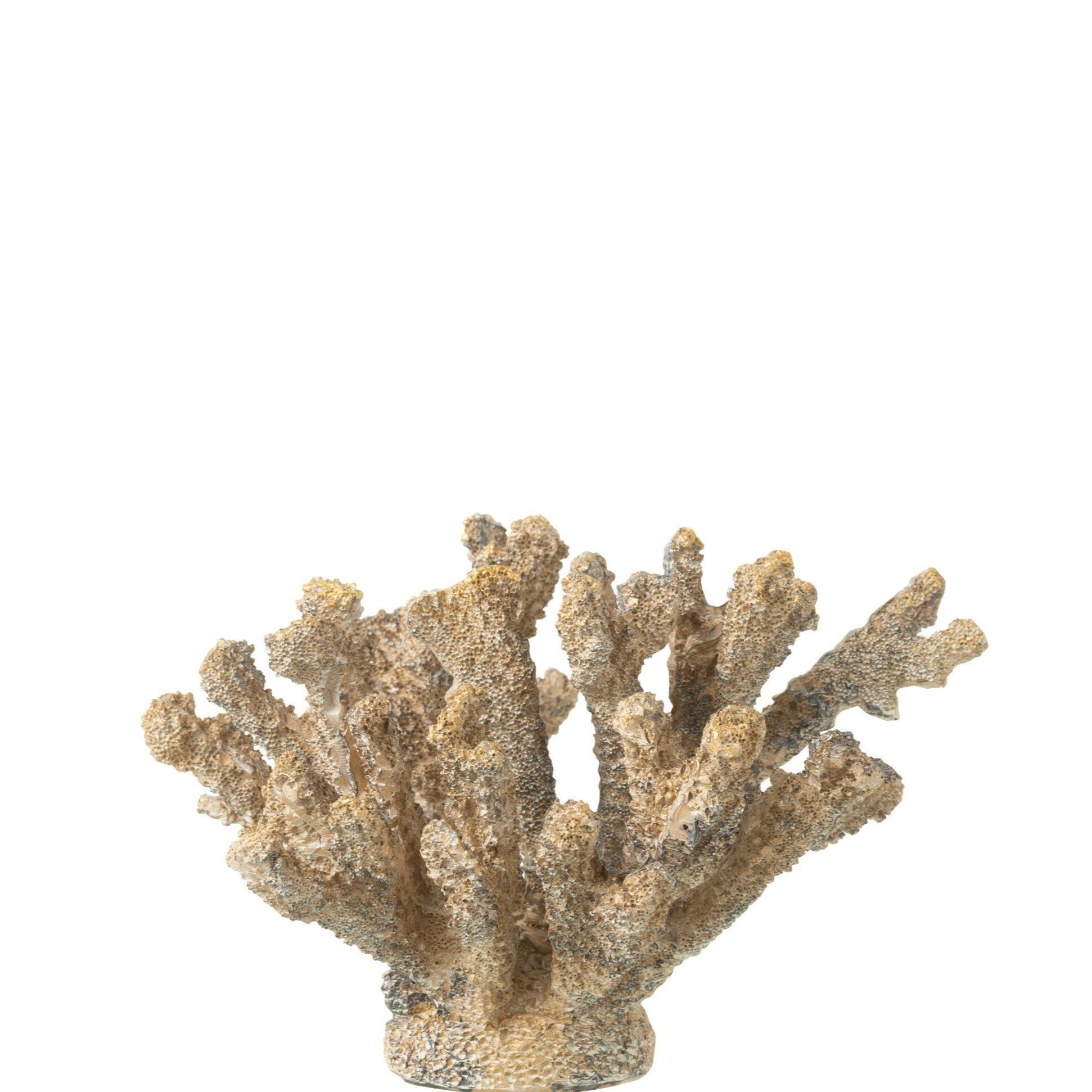 Decorative Coral-Brown Gold