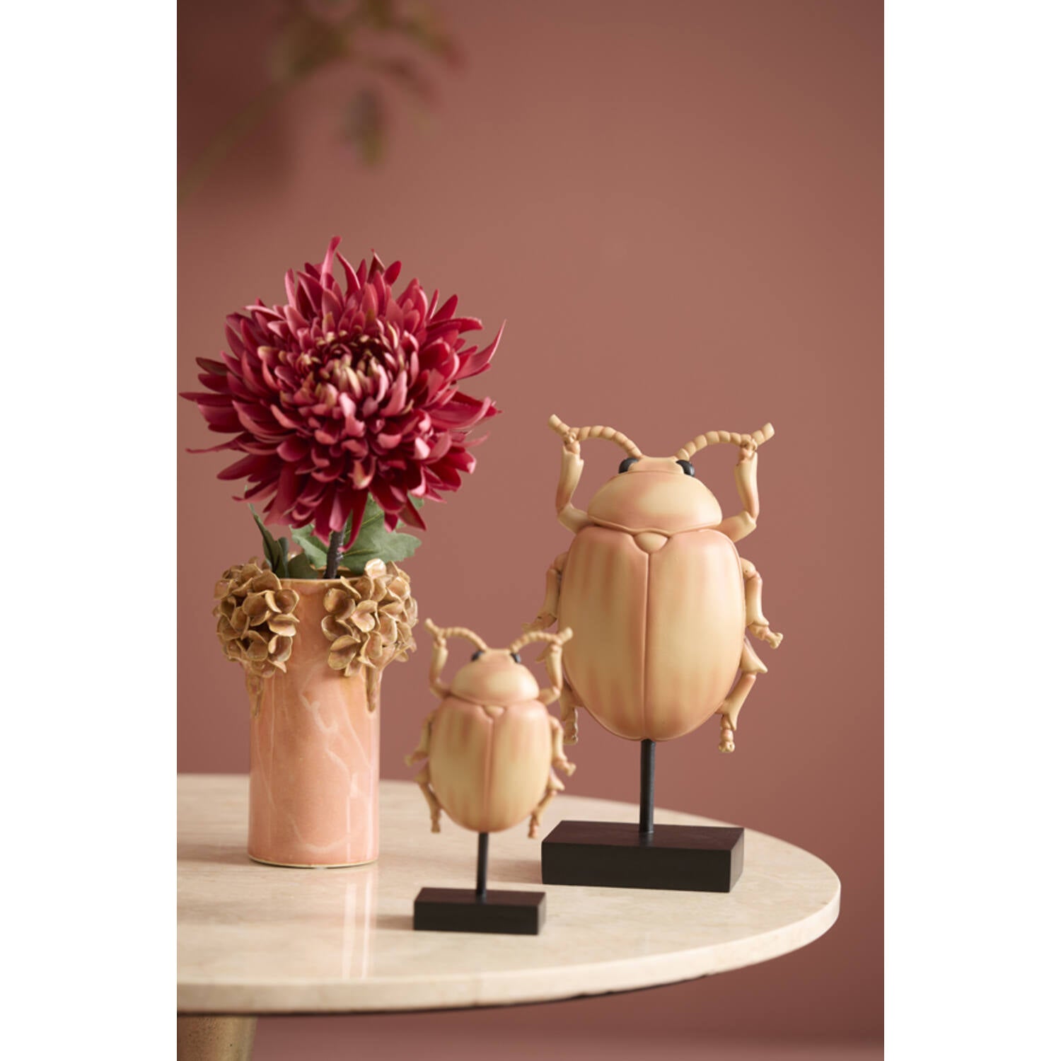 Chrysantheme