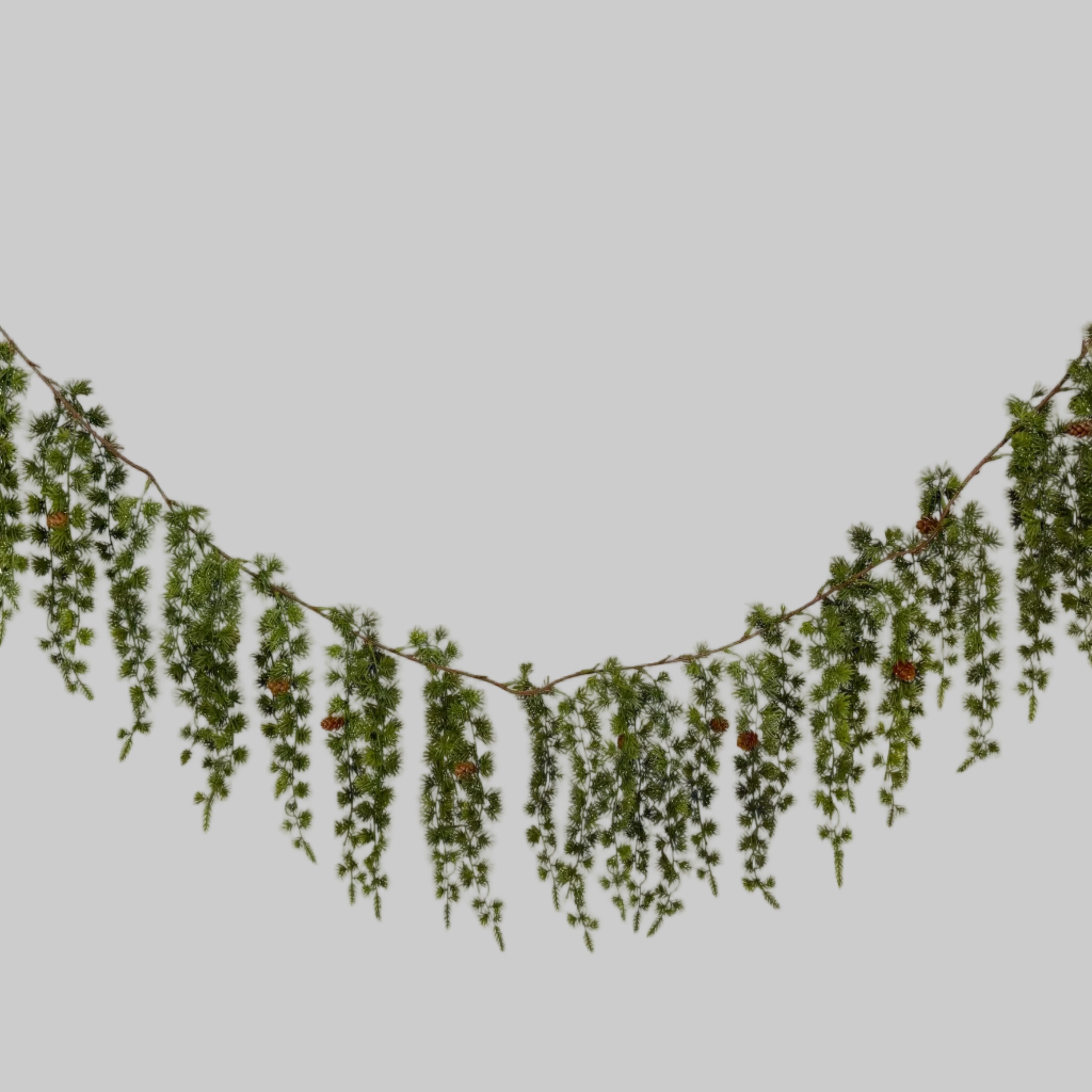 A green pine garland with small pinecones hanging from a thin brown string, isolated on a white background.