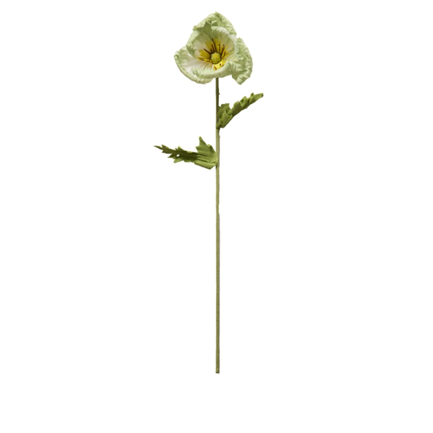 Light Green Cato Flower