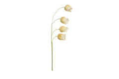 Cain Flower