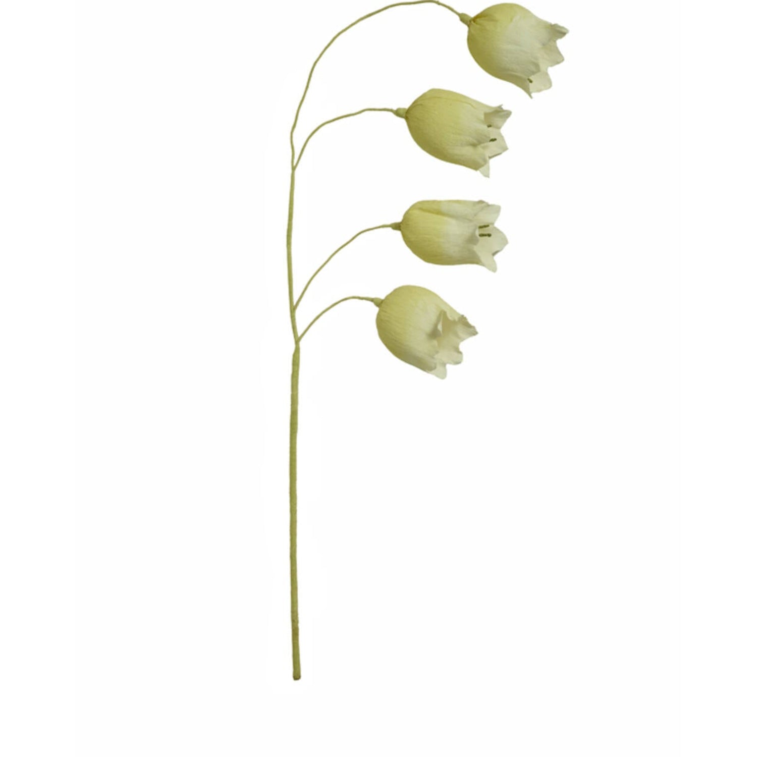 Cain Flower