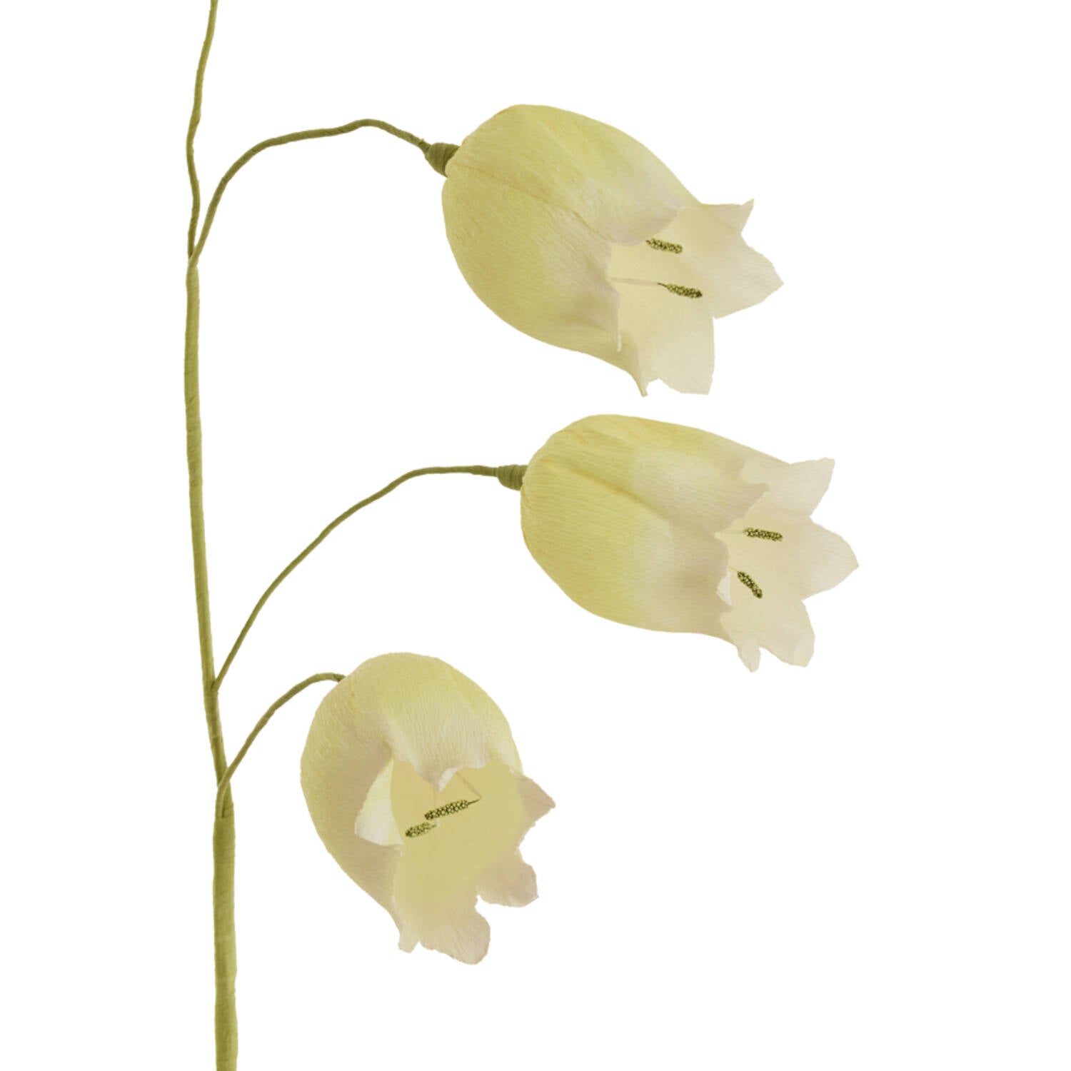 Cain Flower