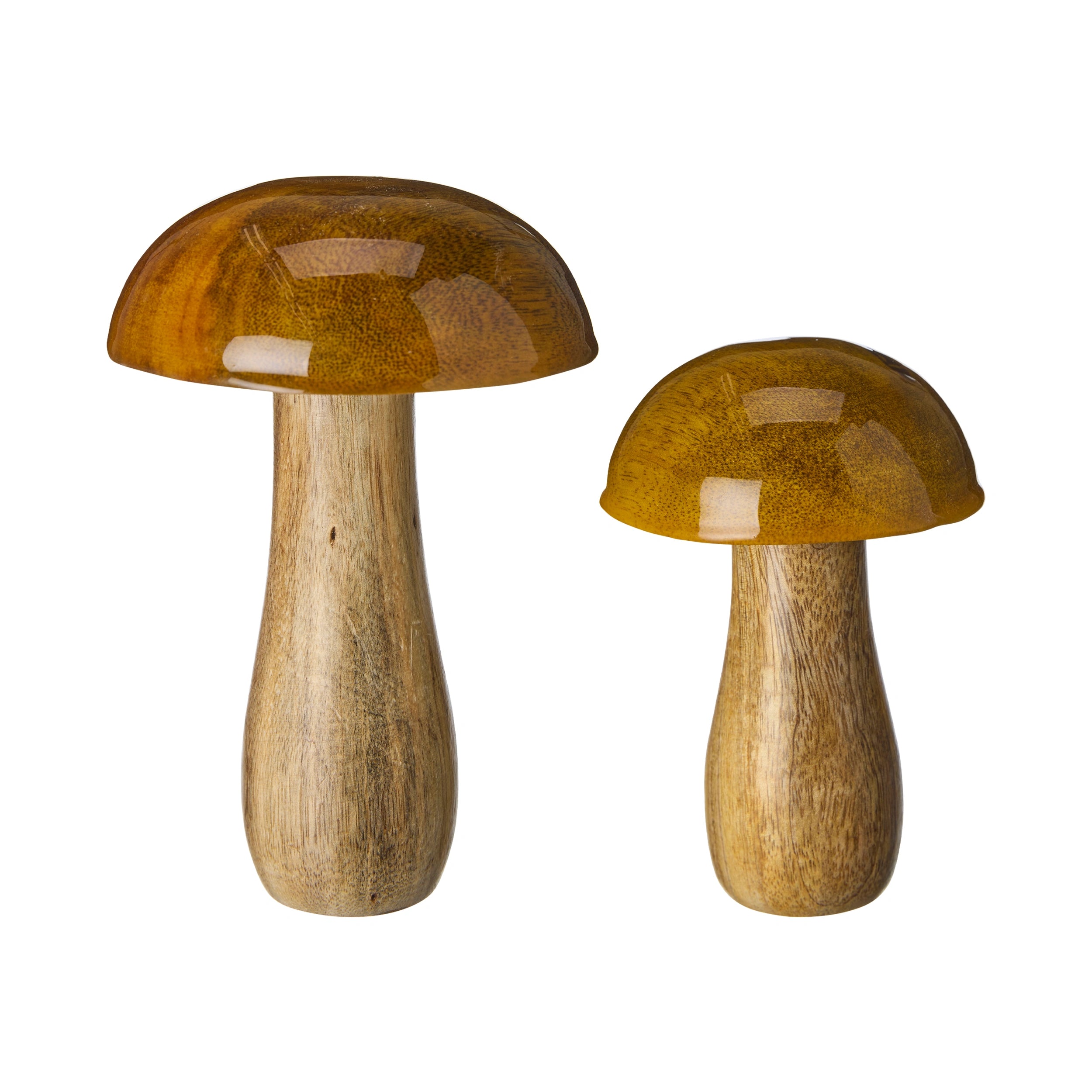 KAVYA MUSHROOM MIX