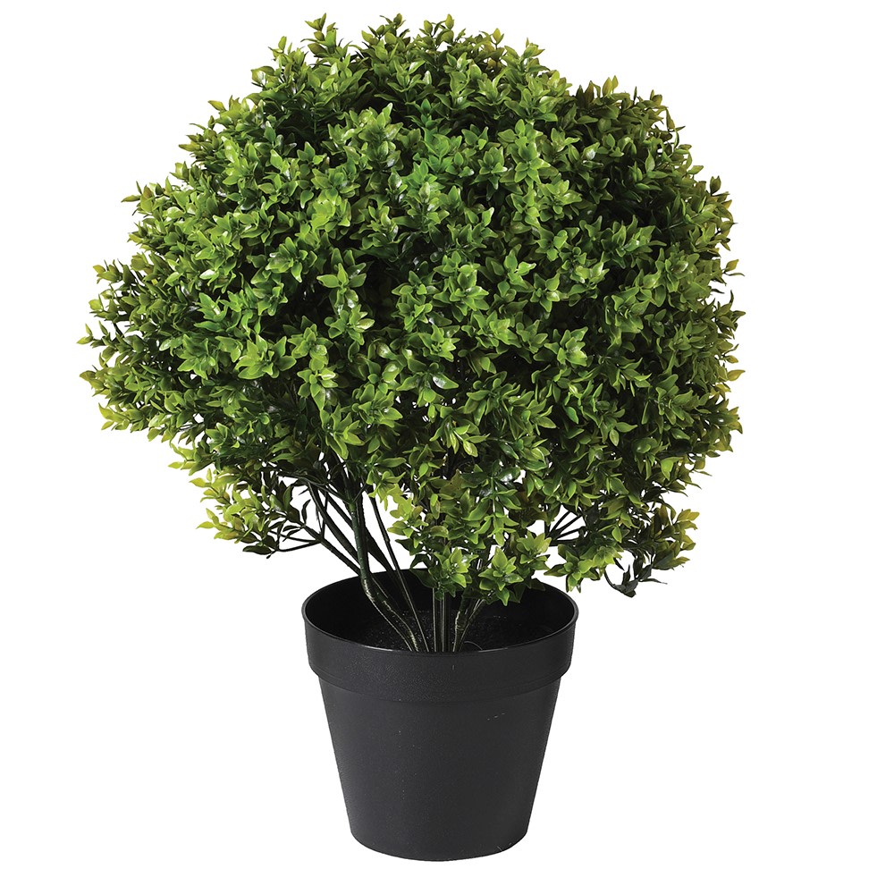 Outdoor Basil Leaf Topiary