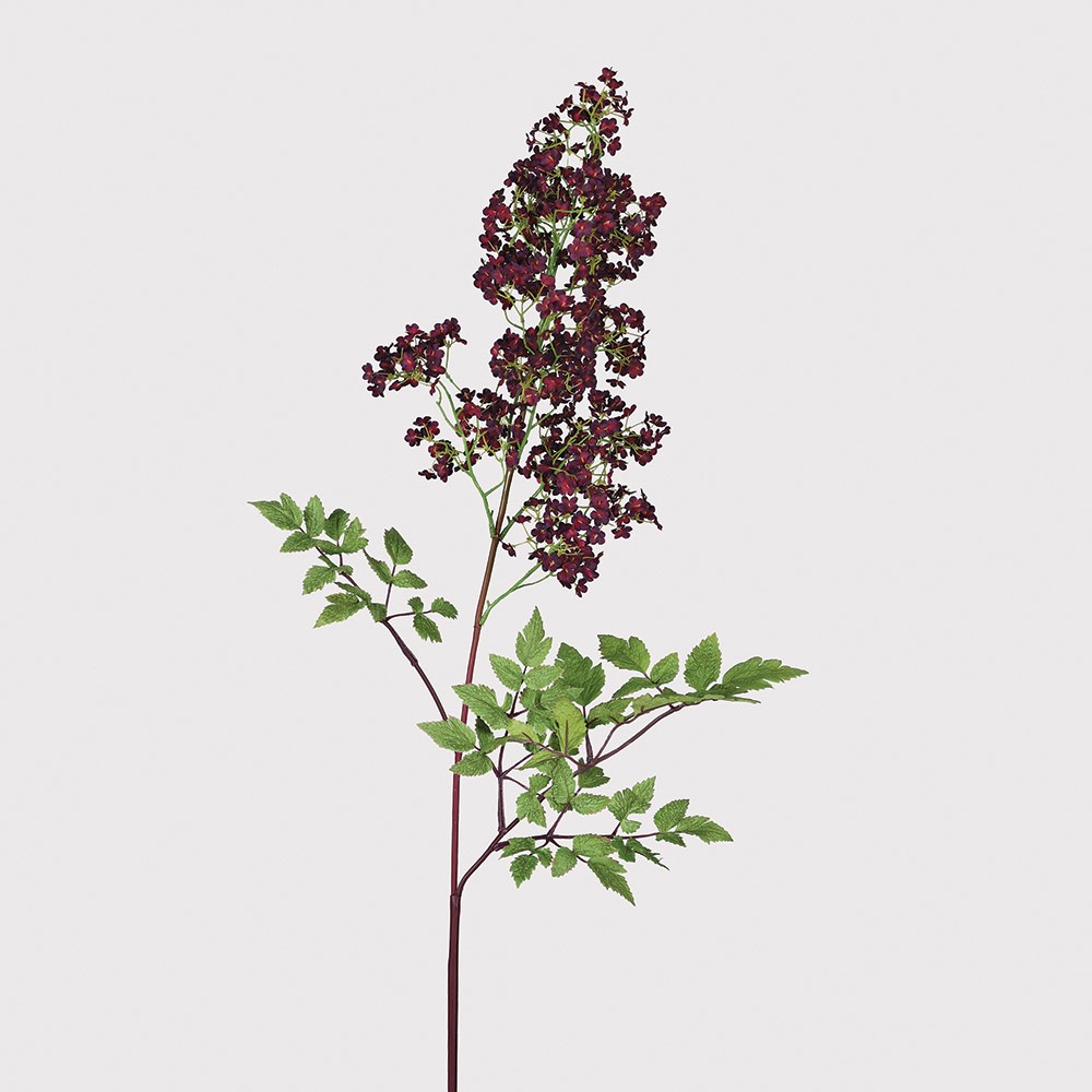 Giant Astible Stem