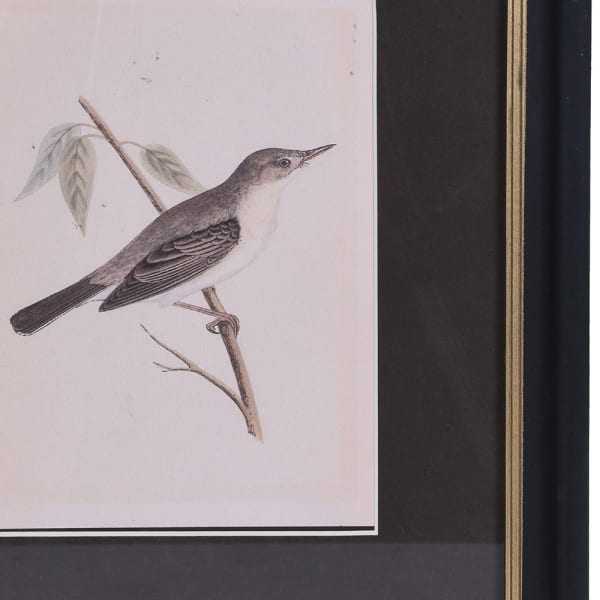 Graceful Stillness Print