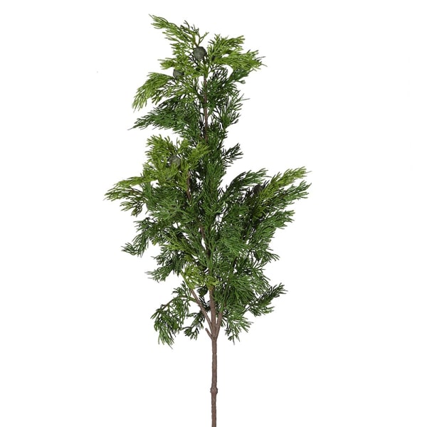 Green Cedar Spray
