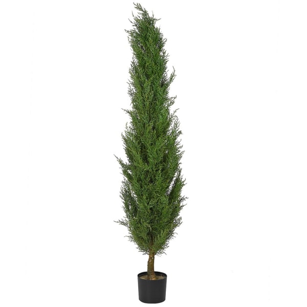 Potted artificial cypress tree on a white background