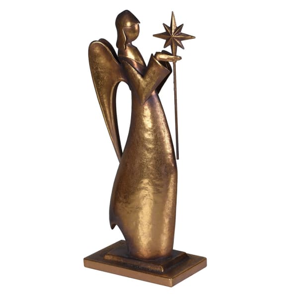 Stary Night Angel