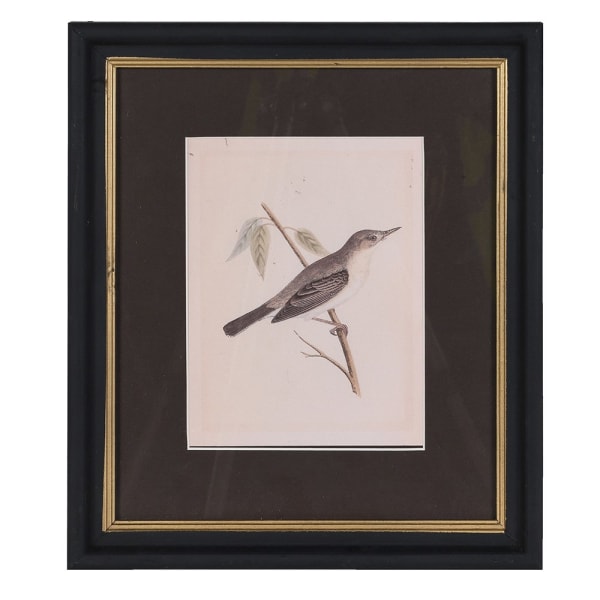 Graceful Stillness Print