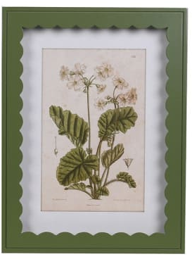 Scalloped Floral Prints