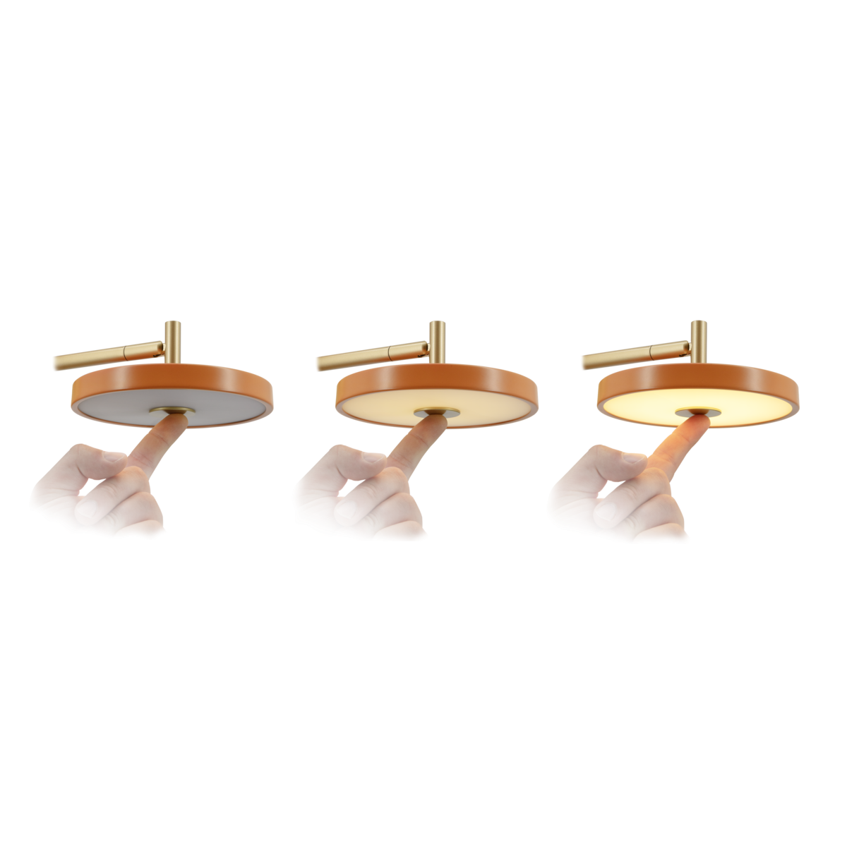 Asteria Wall Light