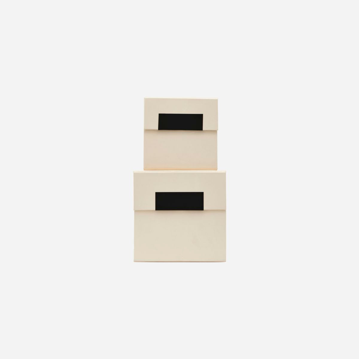 Set of Two Birch Storage Boxes