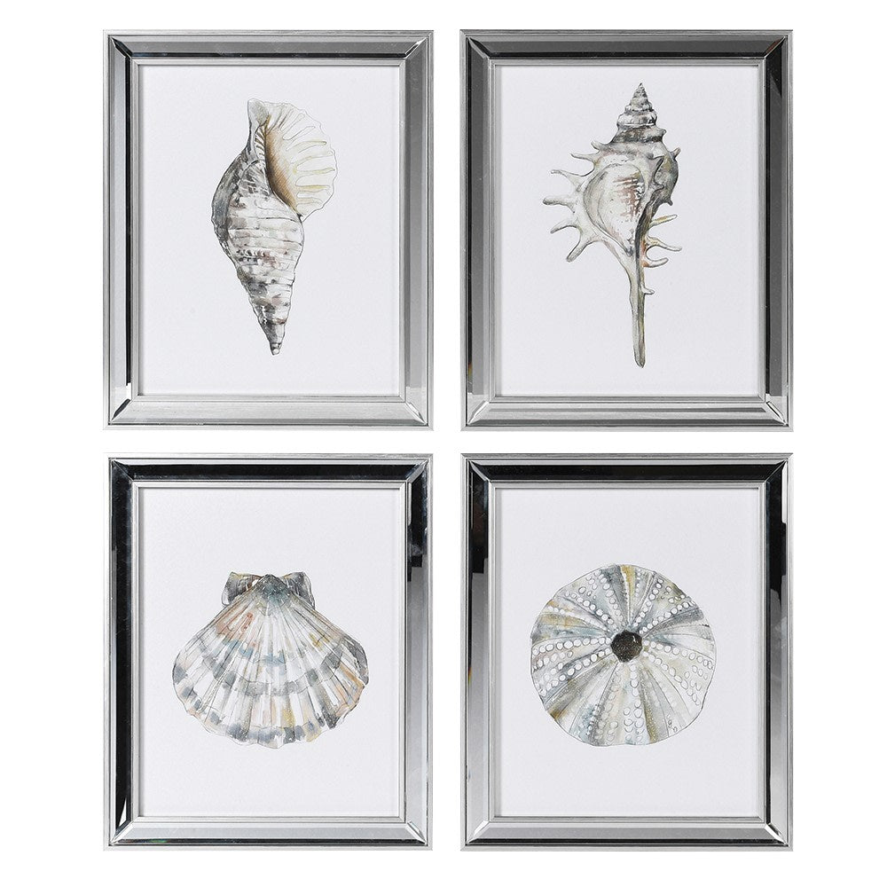 Sea Shell Prints