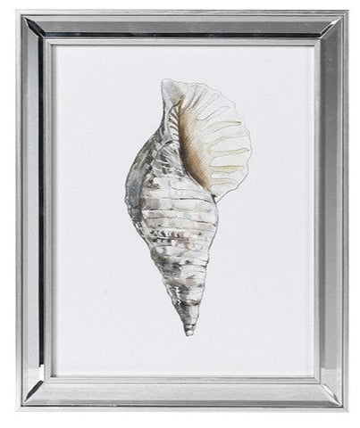 Sea Shell Prints